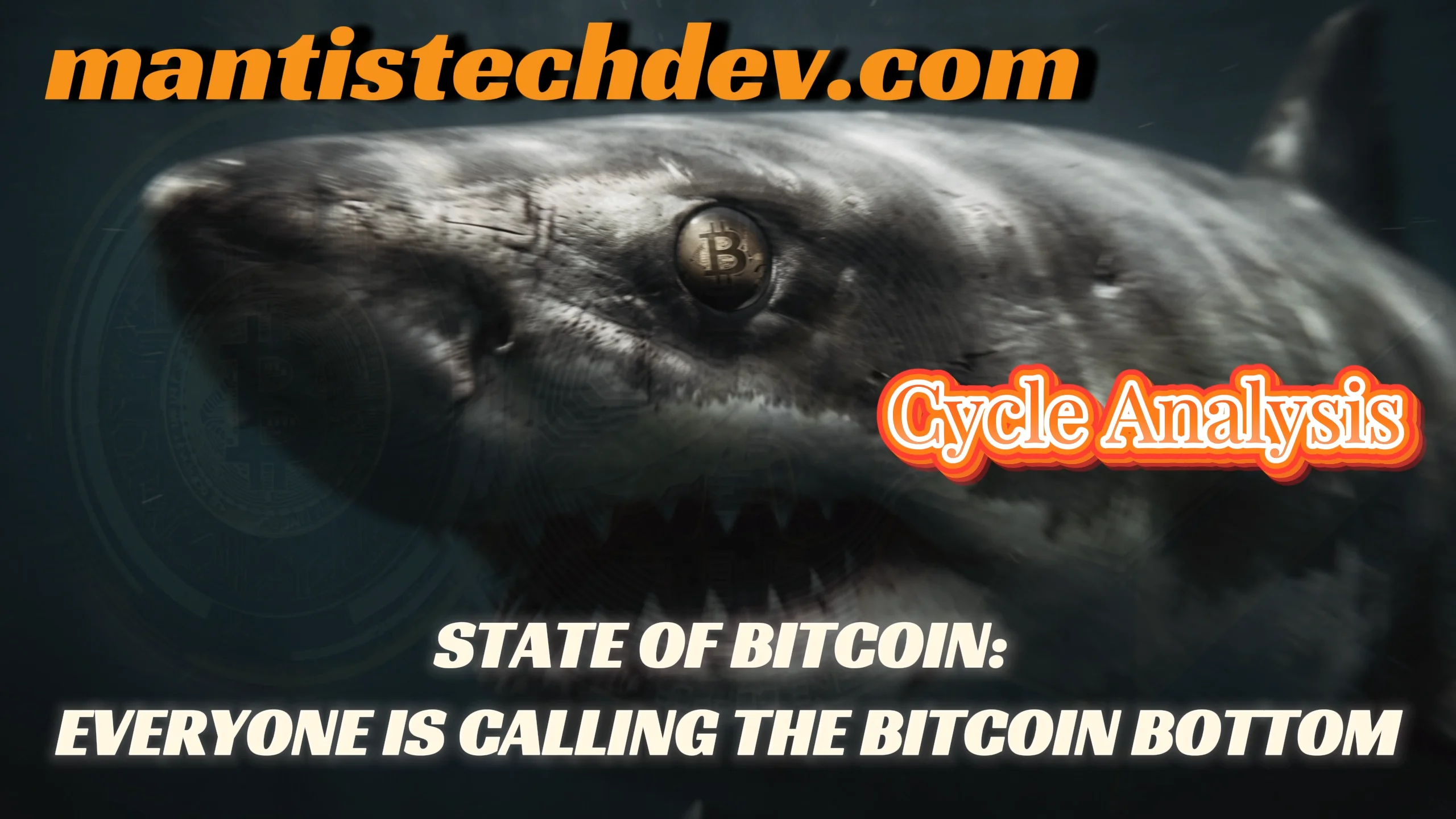 State of Bitcoin: Everyone Is Calling The Bitcoin Bottom