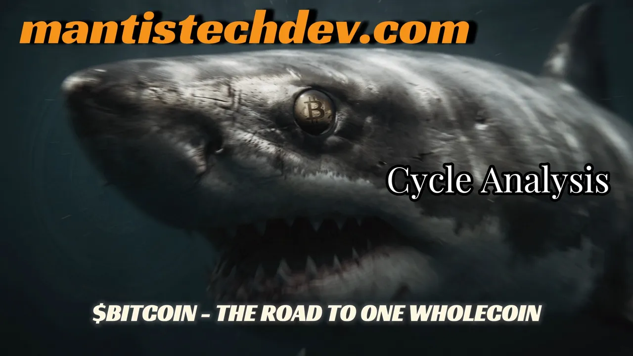 Swim With the Sharks: The Road to One Whole Coin
