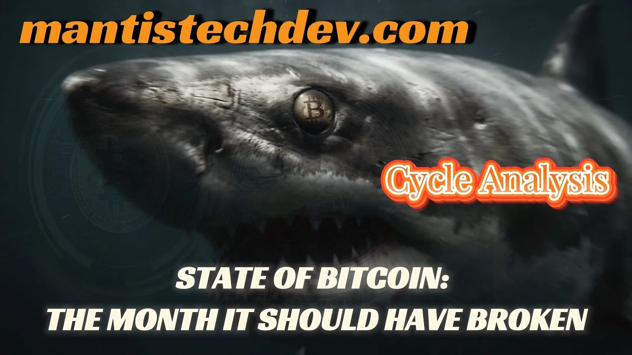State of Bitcoin: The Month It Should Have Broken